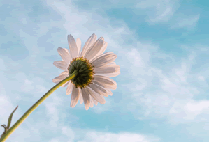 世界聚材料网开站日